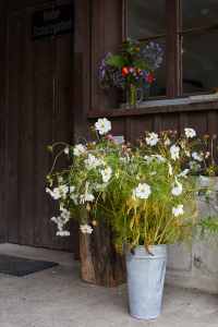 Image 26
